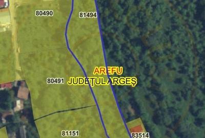 Teren 4996 mp zona de munte Comuna Arefu-Capataneni Arges - 4