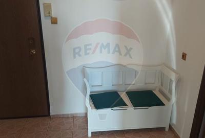 Apartament cu 2 camere decomandat în Vlahuță - 5