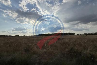 Teren 1000 mp de vanzare/ Carcea - 1