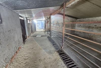 Casa de vanzare / Spatiu productie cu 12+ camere - 31