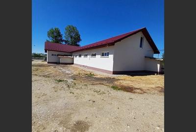 Spațiu comercial generos, la drum principal, localitatea Daia - 4