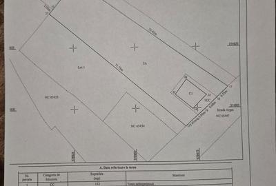 Spațiu comercial, în Măgurele - 7