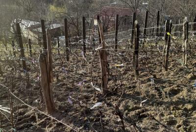 Casă cu 3 camere în Făget - 4