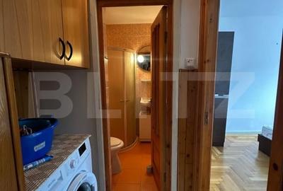 Apartament cu 4 camere decomandat, mobilat în Noua - 10