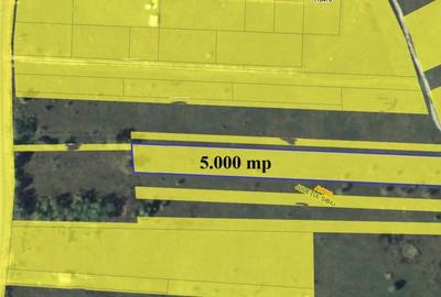 Teren de 5000 mp, în Avrig - 3