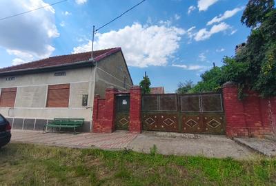 Casă individuală cu 4 camere cu Teren 1715 Mp în Topolovățu Mare - 1