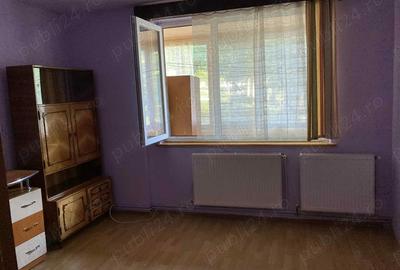 Apartament cu 2 camere parter Sfantu Gheorghe - 7