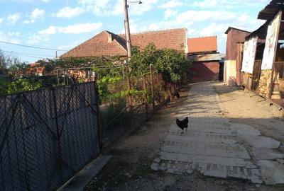 Casă în Berecuța - 6