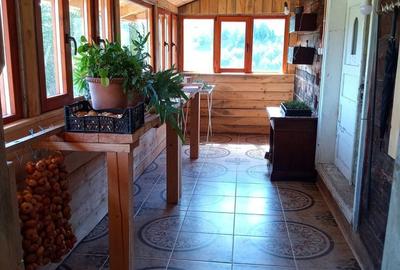 Teren de 56000 mp, în Arieșeni - 16