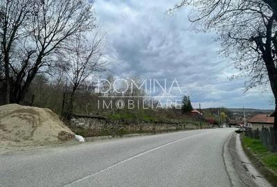 Vanzare teren intravilan - Runcu - oportunitate intr-o zona turistica deosebita - 2