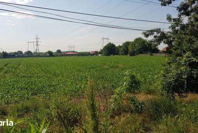 Teren de 5000 mp, în Jilava