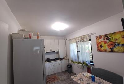 Duplex Modern de Vanzare,complet mobilat si utilat ,CENTRU-MIROSLAVA - 12