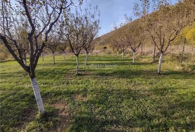 Slatina-Nera, 1445Mp. Teren Drept la Sosea, langa Raul Nera - 10