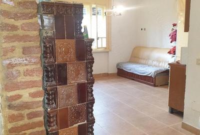 Casă cu 2 camere cu Teren 25000 Mp în Nisipeni - 5