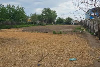 Casă cu 5 camere în Luciu - 5