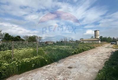 Teren intravilan de vanzare  1374mp Cobadin Jud , Constanta - 5