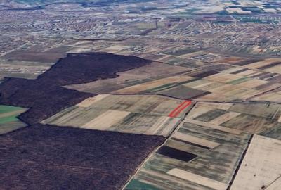 Teren Construcții extravilan de 5800 mp, în Nojorid - 1