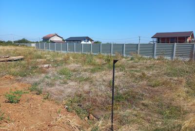 Teren în Copăceni - 3