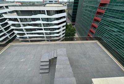 Un penthouse care iti schimba perspectiva asupra vietii - 12