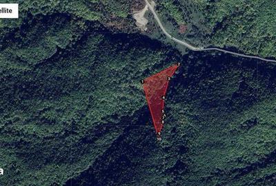 Teren de 20000 mp, în Scorțeni - 3