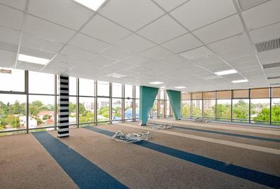 Bulevardul Cosbuc 116-118 - MaxFit - Birouri Premium - 13