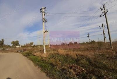 Teren la Asfalt cu utilita?i alaturi (Curent & Gaz) langa Bucure?ti - 11