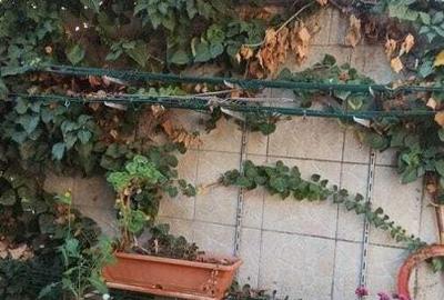 Casă cu 5 camere cu Canalizare în Rahova - 6