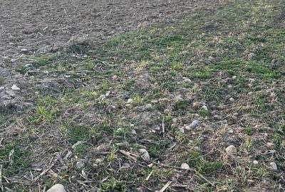 Spațiu comercial, în Orlat - 3