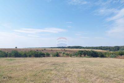 Teren de vanzare cu deschidere la lac 2136 mp | Gra... - 1