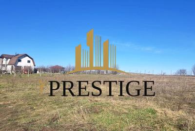 Teren agricol extravilan de 873 mp, în Șura Mică - 4