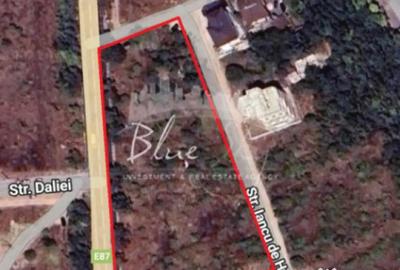 Teren de 5000 mp, în Central - 1