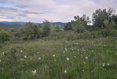 Teren Resita 4350 mp centura Resitei Terova-km 8 negociabil - 4