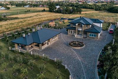 Casa exclusivista cu arhitectura unica, 320mp utili, Horod - 15