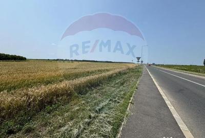 Teren de 10164 mp, în Vadu Anei - 2