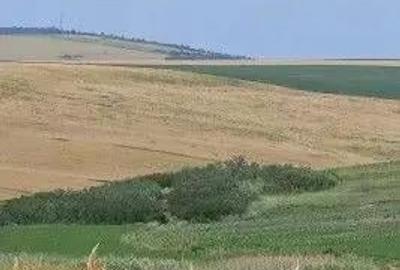 Teren Extravilan Aroneanu, ID: R2577828 - 2