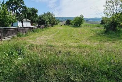 Teren de 4500 mp, în Siliștea - 7