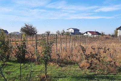Teren de 1500 mp, în Vânători - 5
