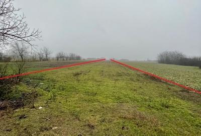 Teren Construcții intravilan de 6105 mp, în Sălciile - 1