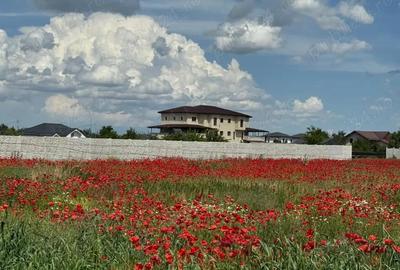 Vanzare Teren intravilan 500mp Cernica Balaceanca Ilfov - 1