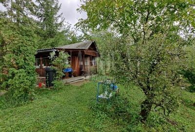 Casă individuală cu 10 camere cu Canalizare în Grigorescu - 6