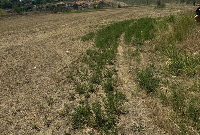 Teren de 3000 mp, în Ciocârlia - 1