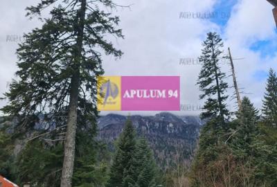 Vilă de vânzare in Sinaia - Zona Cumpătu - 26