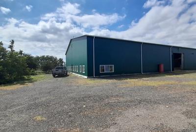 Surdila-Gaiseanca, Braila - 8