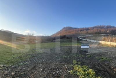 Teren generos 8.5 Ari, Zona VIlla Franca-ideal constructie c - 3