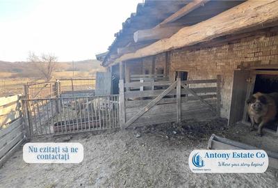 Oportunitate de investitie, Ferma Padurea Galbena  - Cehal, Marghita - 14
