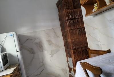 Parter vila, ap. 3 camere, zona curte  privata, anexa casa, zona Doamna Ghica - 6