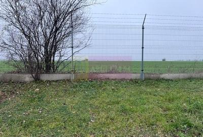 Teren în Domnești - 5