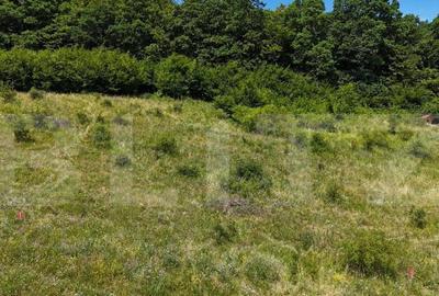 Teren de 500 mp, în Central