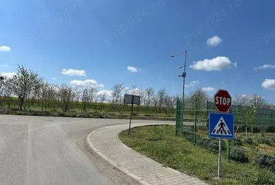 Teren de 5000 mp, în Valu lui Traian - 4