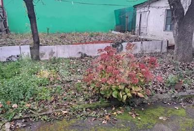 Casa cu Poten?ial in Bra?ov Ideala pentru Locuin?a sau Afacere - 10